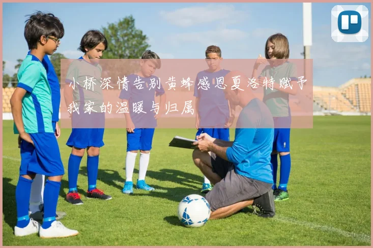 小桥深情告别黄蜂感恩夏洛特赋予我家的温暖与归属